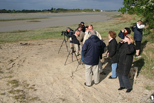 Sortie découverte de la biodiversité avec les élus du Tour-du-Parc - mai 2010